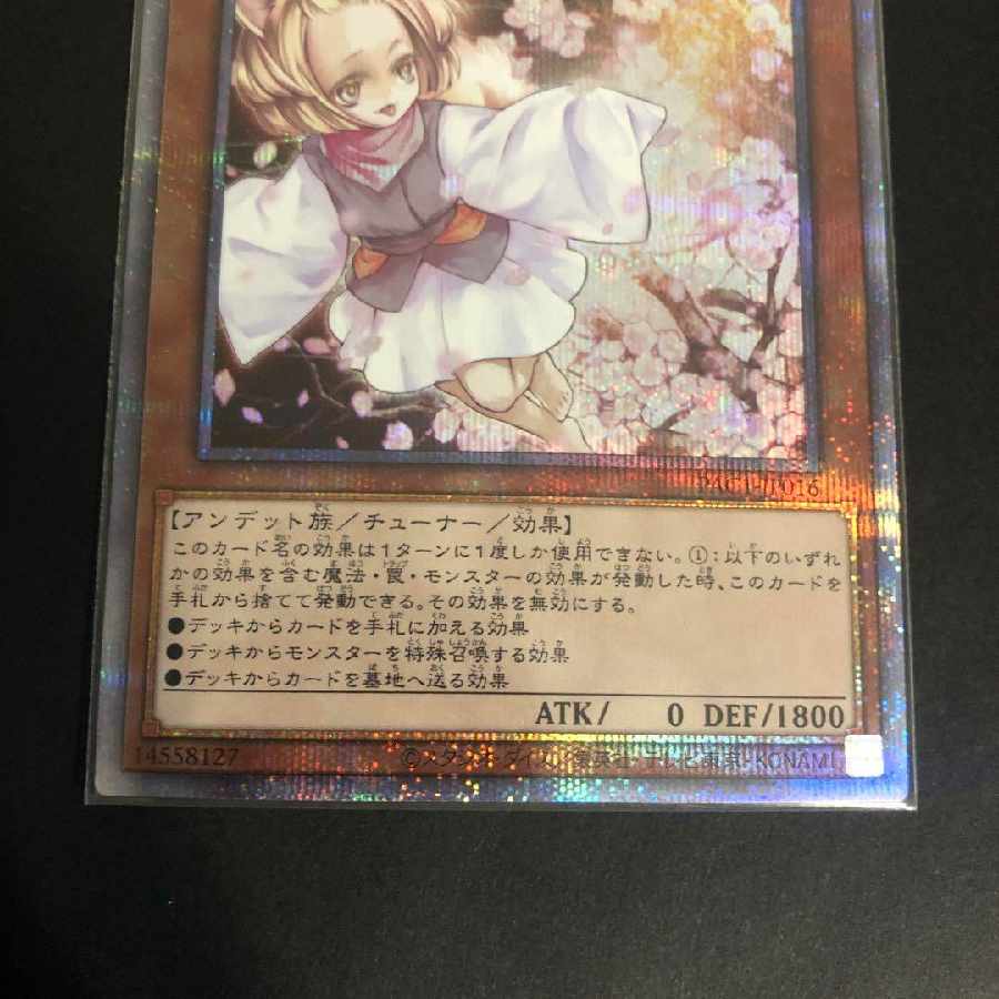 Yu-Gi-Oh! Ash Blossom & Joyous Spring Prisma
