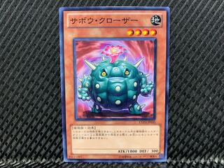 Cactus Bouncer Normal