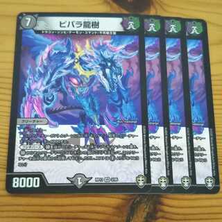 ビバラ龍樹 4枚