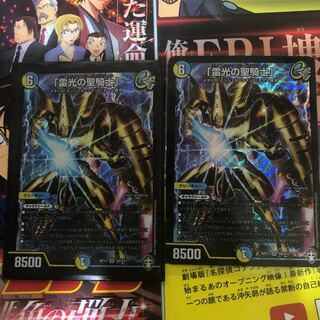 「雷光の聖騎士」   ライトニングソードパラディン