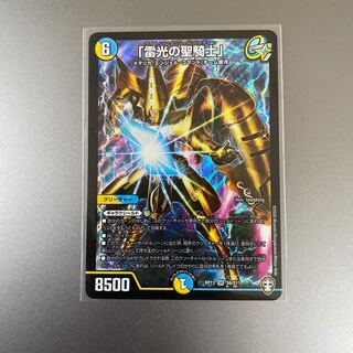 雷光の聖騎士　ライトニングソードパラディン