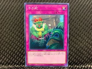 Yu-Gi-Oh! Waking the Dragon Normal