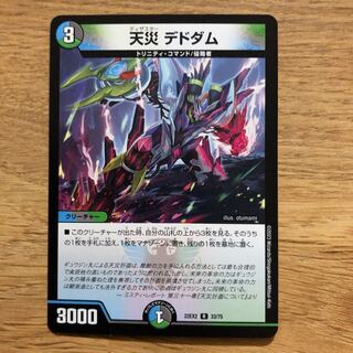 天災 デドダム R 33/75