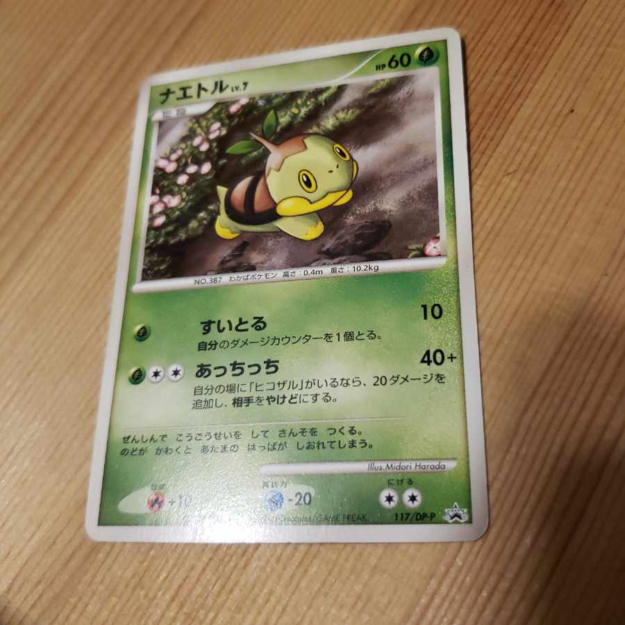 Turtwig Promo Uniqlo Midori Harada 2008