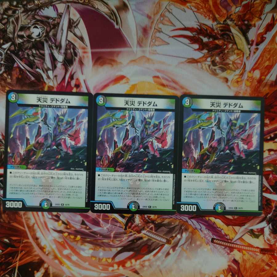 天災 デドダム R 33/75