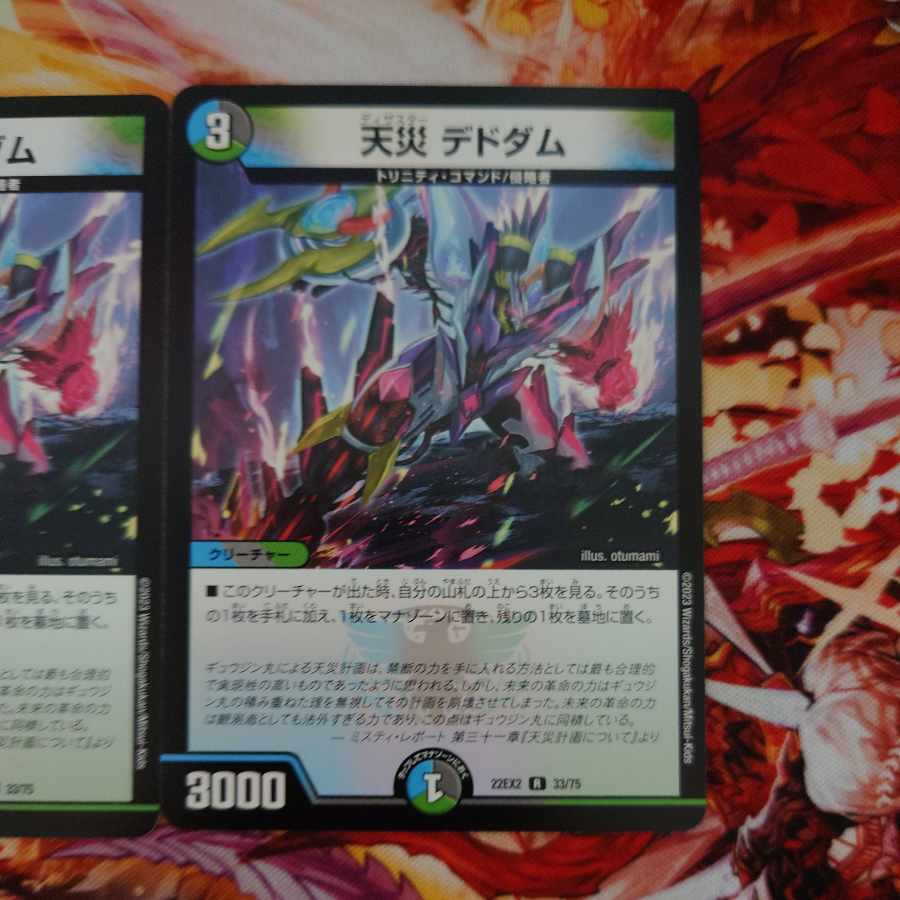 天災 デドダム R 33/75