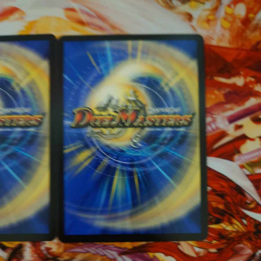 天災 デドダム R 33/75