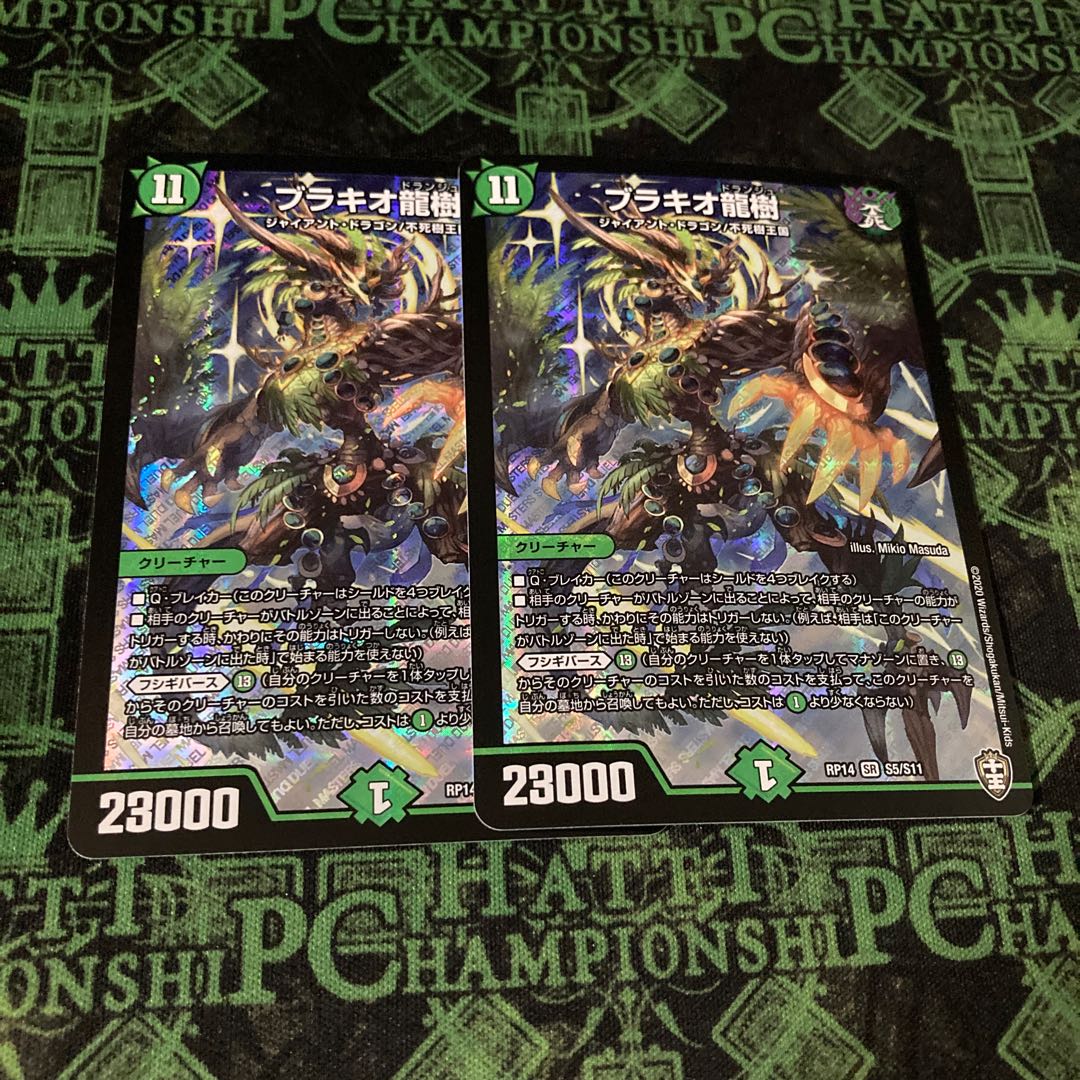 Ryuki Brachio SR S5/S11