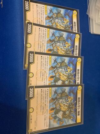 The Forceful Checkpoint Defense Terra U 33/95