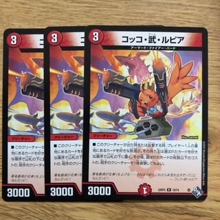 Cocco Bu Lupia R 19/74