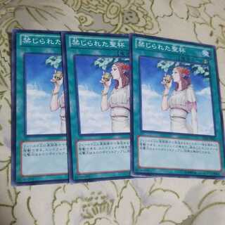 禁じられた聖杯