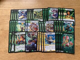 追跡ありべアフガンデッキ