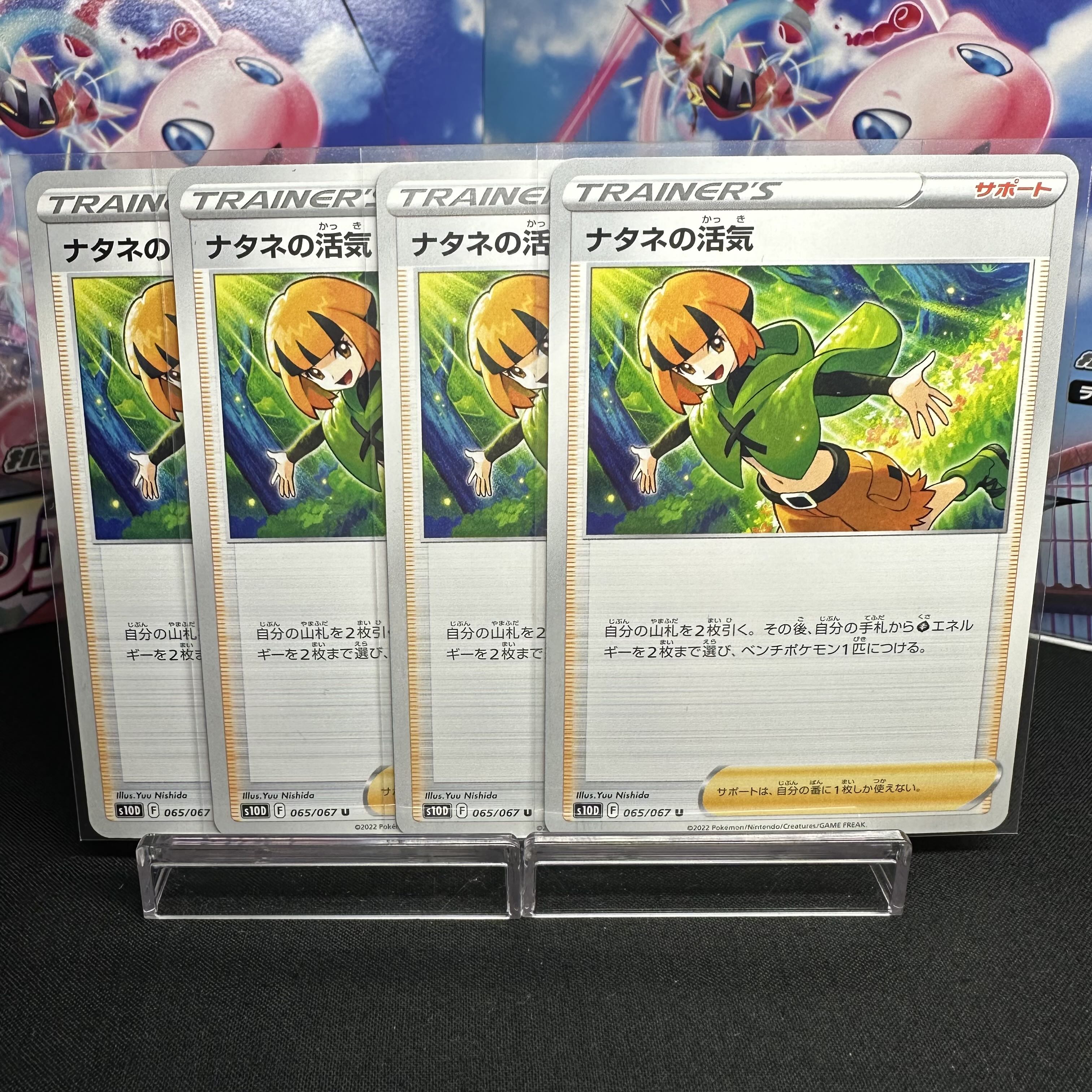 ナタネの活気 U 065/067