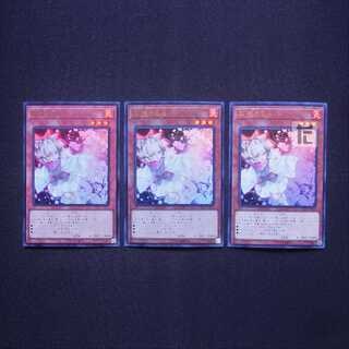 Ash Blossom & Joyous Spring Ultra RC03/RC04 Set of 3/Control:MY1074