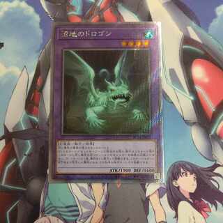 Mudragon of the Swamp EXSE JP029