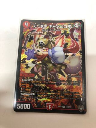 スパダチ キャンベロR SR S4/S11 1枚