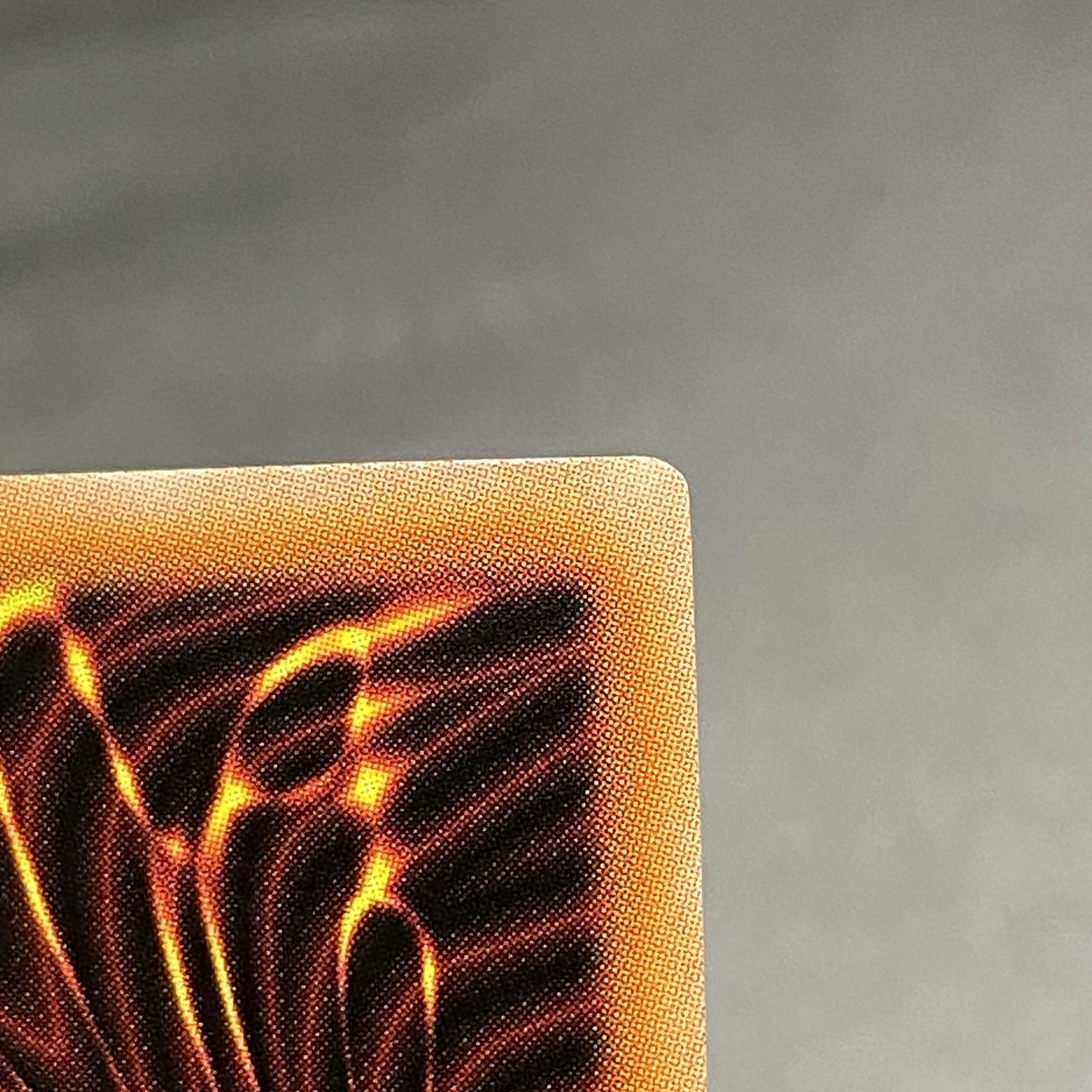 Maxx "C" 25th Secret Rare RC04-JP005