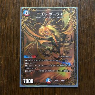 ニコルボーラス