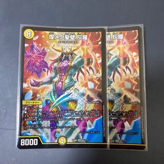 煌メク聖壁 灰瞳