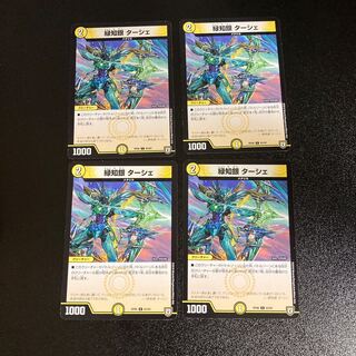 DM Green Chi-Gin Turshe Common, set of 4, set of 4