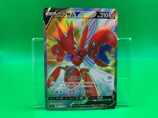 ハッサムV SR 107/100