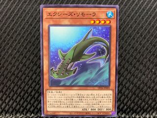 【アゴ之内】遊戯王 エクシーズ・リモーラ ノーマル