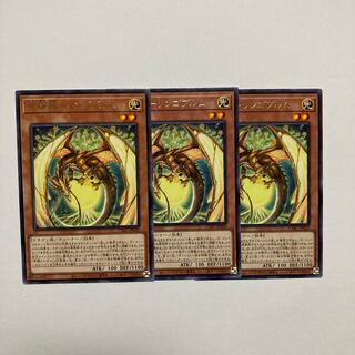 百檎龍-リンゴブルム レア JP029