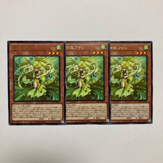 【即日発送】遊戯王☆珠の御巫フゥリ/ウルパラ 遊戯王オフィシャルカードゲーム デュエルモンスターズ 珠の御巫