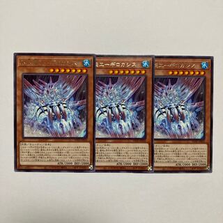 Ice Water Boat Aegilo Cassis Rare JP010