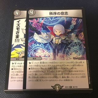 秩序の意志 R 65/100