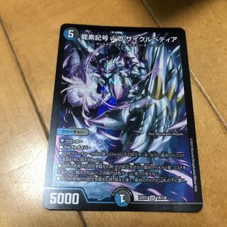 龍素記号wD サイクルペディア SR 18/130