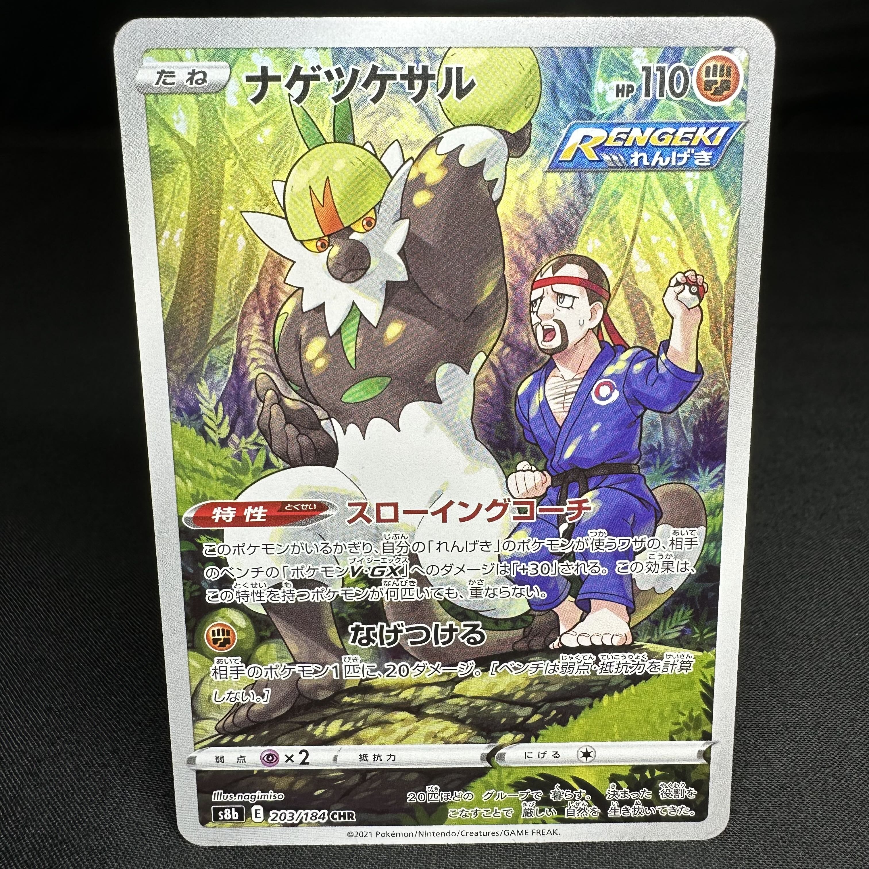 Passimian CHR 203/184