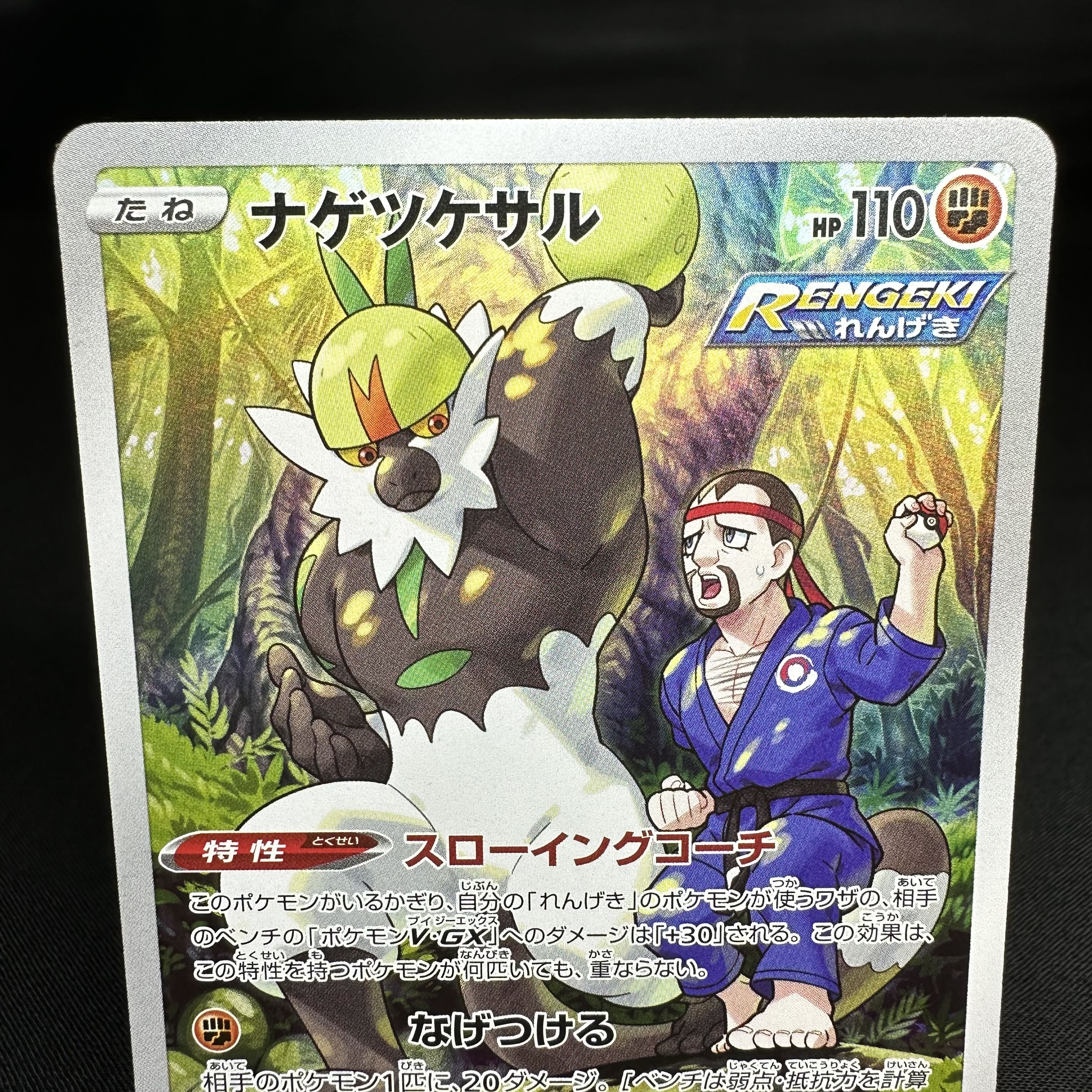 Passimian CHR 203/184