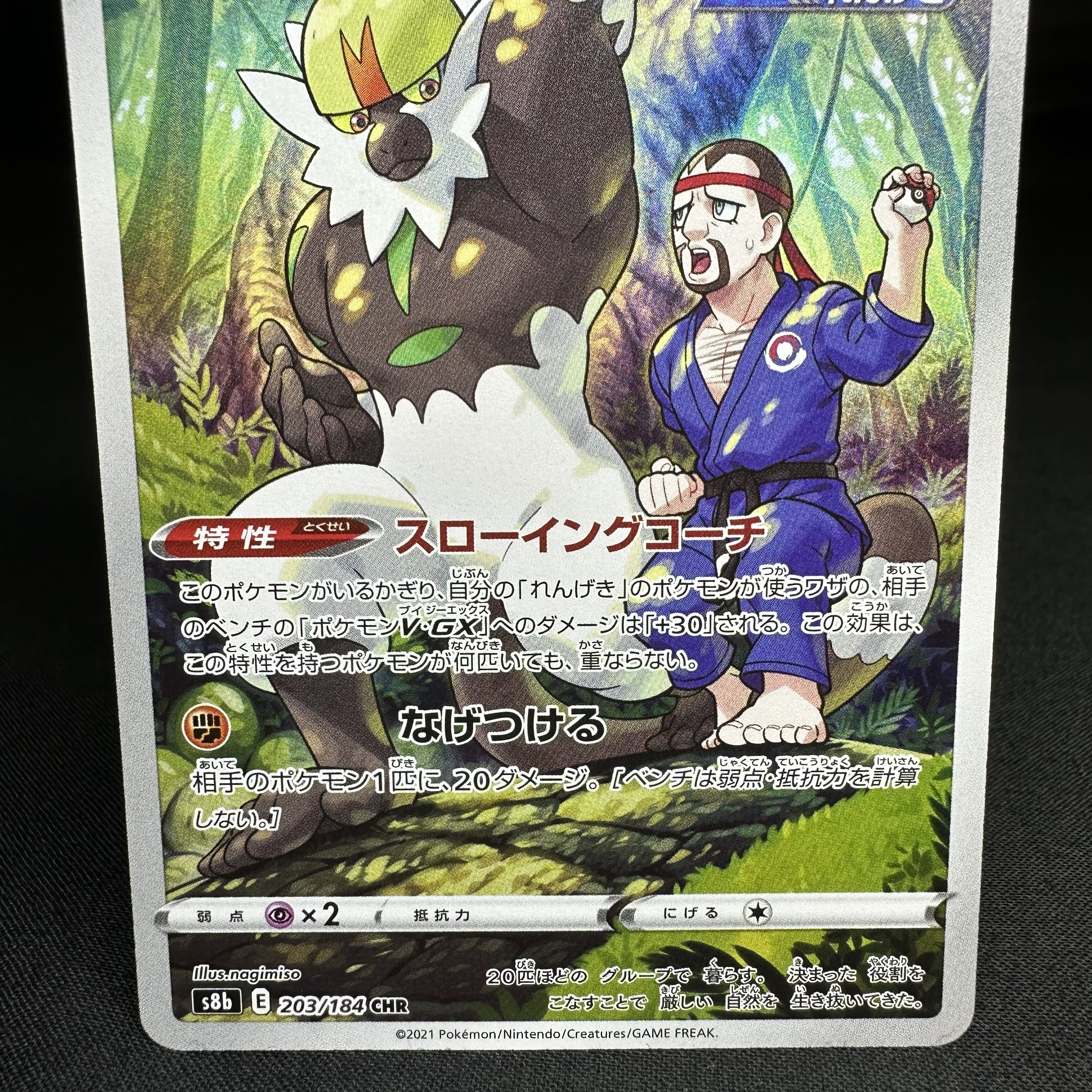 Passimian CHR 203/184