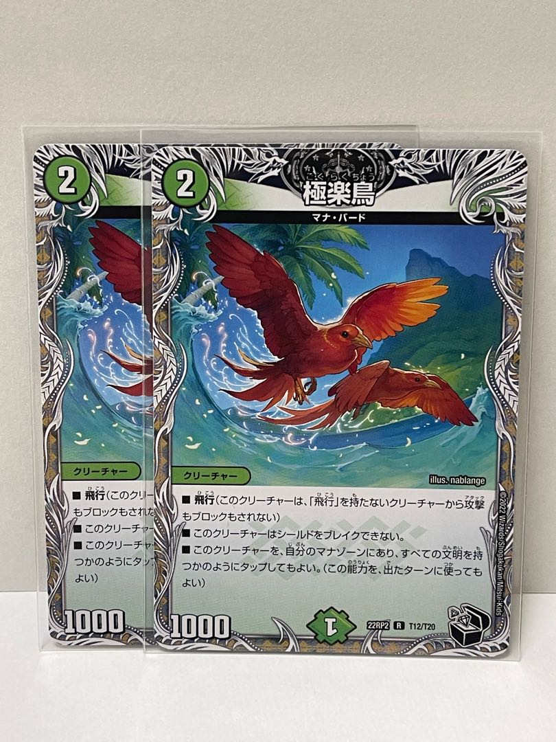 極楽鳥 R T12/T20 22RP2　2枚セット 2枚