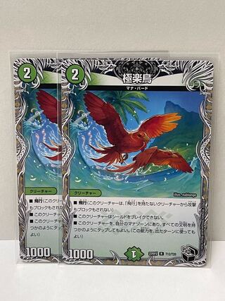 極楽鳥 R T12/T20 22RP2　2枚セット 2枚