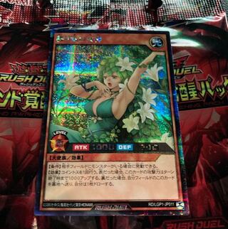 移り気の女神 シク