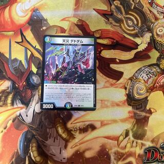 天災 デドダム R 33/75