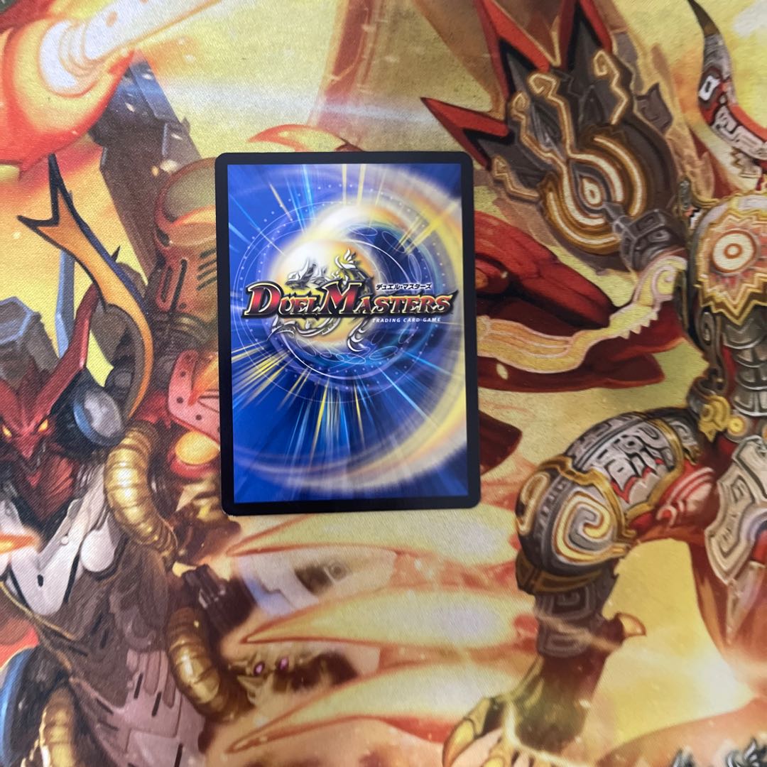 天災 デドダム R 33/75