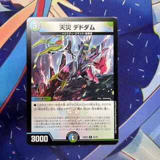 天災 デドダム R 33/75