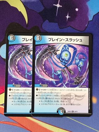 ブレイン・スラッシュ R 24/75