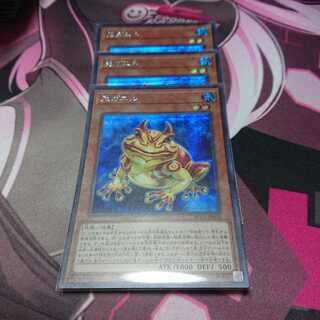 シク 鬼ガエル 3枚