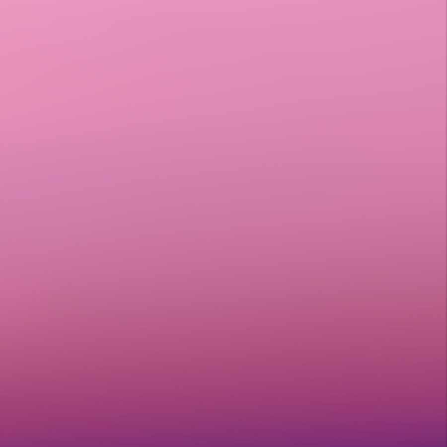 sr以上2/3！ゲリラオリパ7