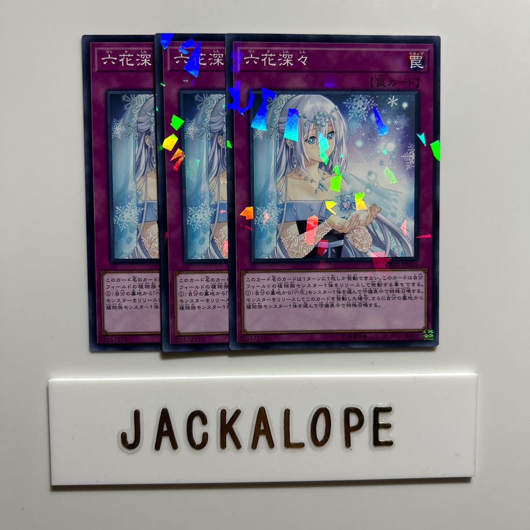 10655 Rikka Tranquility $6993