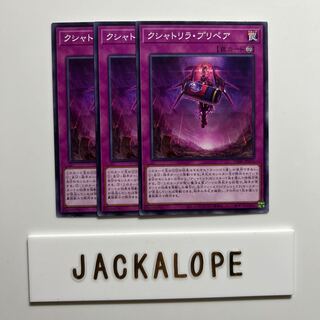 Kshatriya Prepair $6994