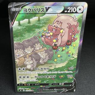 ヨクバリスV SR 111/100