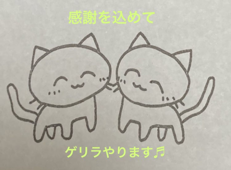 Guerrilla cat bag Pokeka ver ①.