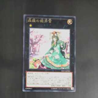 森羅の姫芽宮 レア JP083　【木林堂】