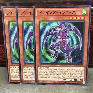 No.1360 P屋　プレイング・マンティス 【ノー】