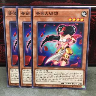 No.1934 P屋　薔薇占術師 【ノー】